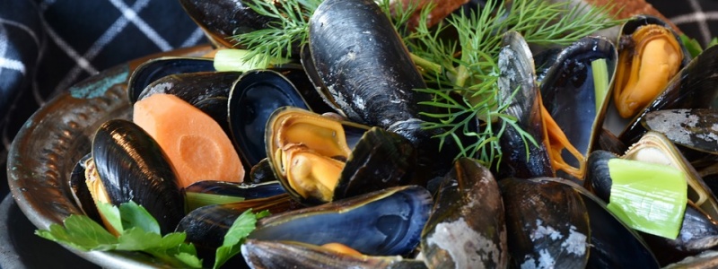 c_800_300_16777215_00_images_mussels-3148452_960_720.jpg